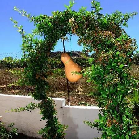 Harriet Agathi Apartamento